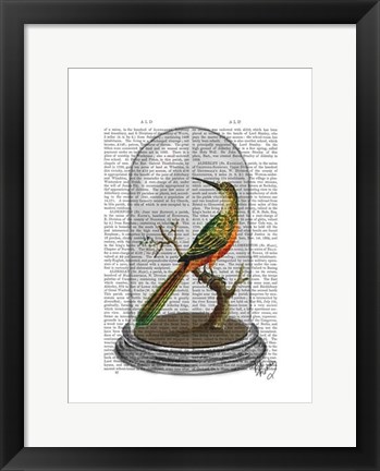 Framed Bird In Bell Jar Print