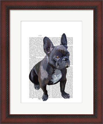 Framed French Bulldog Plain Print
