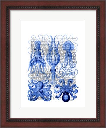 Framed Octopus &amp; Squid Blue Print