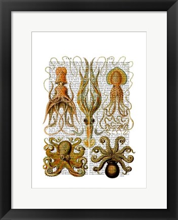 Framed Octopus and squid Print