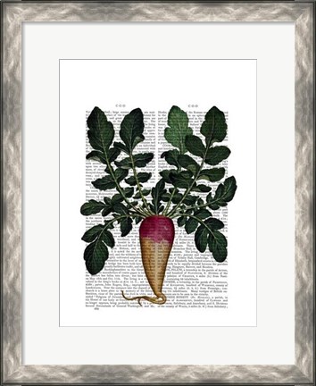 Framed Turnip Print