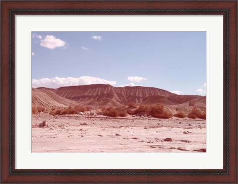 Framed Anza Borrego Desert Print