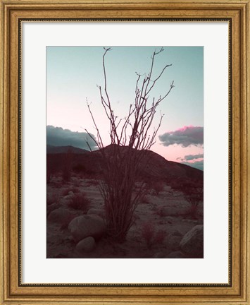 Framed Desert Plants And Sunset Print
