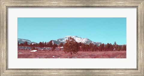 Framed Mammoth Mountain Print