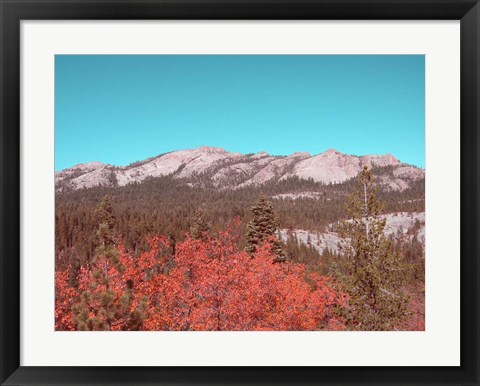 Framed Sierra Nevada Mountains Print