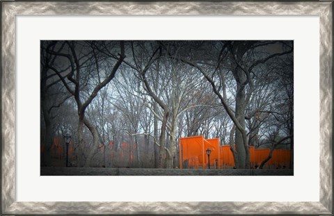Framed Central Park Print