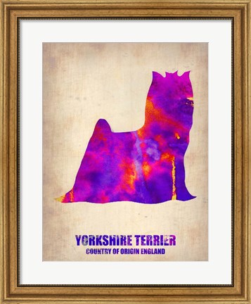 Framed Yorkshire Terrier Print