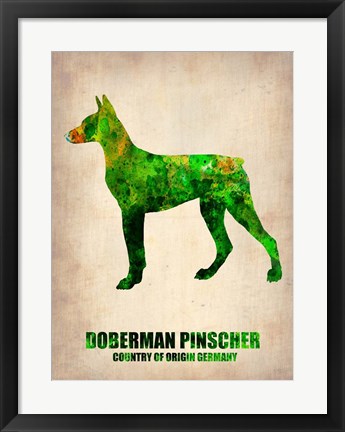 Framed Doberman Pinscher 2 Print