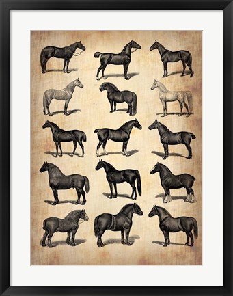 Framed Vintage Horses Collection Print