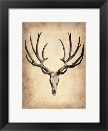 Framed Vintage Deer Scull Print