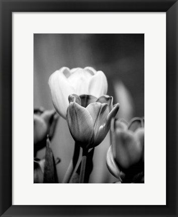 Framed Floral Portrait II Print