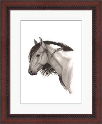 Framed Wild Horse II Print