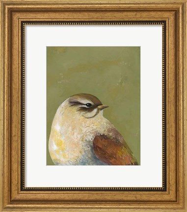 Framed Bird Portrait I Print