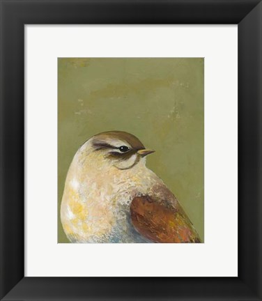 Framed Bird Portrait I Print