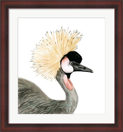 Framed Watercolor Crested Crane Print