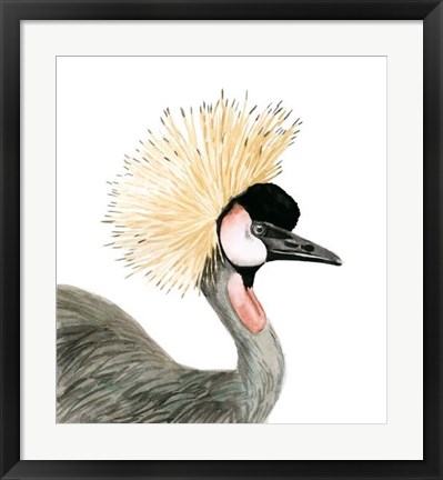 Framed Watercolor Crested Crane Print
