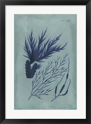 Framed Indigo &amp; Azure Seaweed II Print