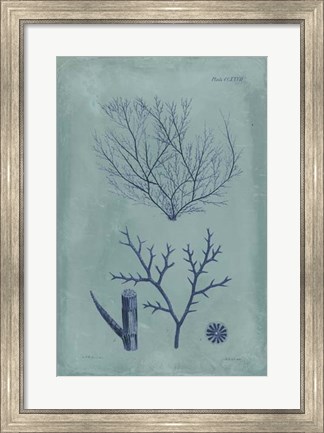 Framed Indigo &amp; Azure Seaweed VII Print
