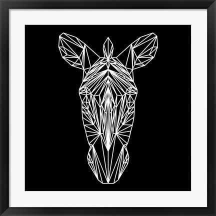 Framed Zebra on Black Print