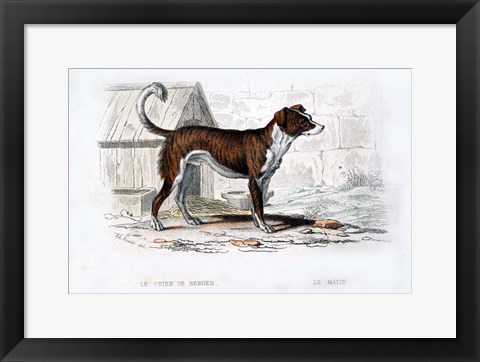 Framed Dog VIII Print