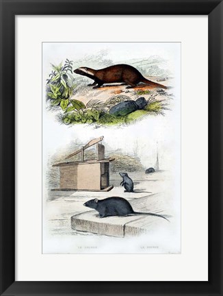 Framed Badger and Mouse Print