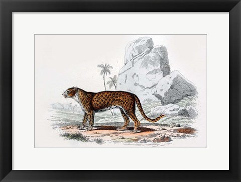 Framed Leopard III Print
