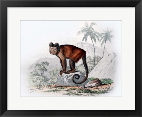 Framed Monkey IX Print