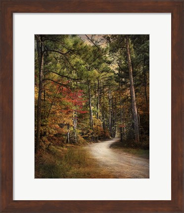 Framed Autumn Forest 2 Print