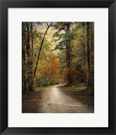 Framed Autumn Forest 4 Print