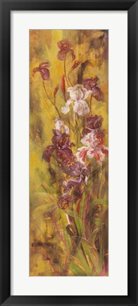 Framed Bearded Iris III Print