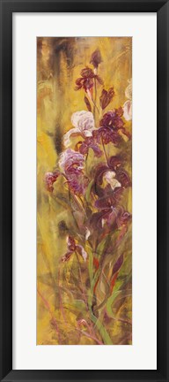 Framed Bearded Iris IV Print