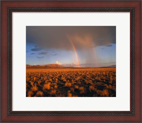 Framed Nevada Desert Rainbow Print