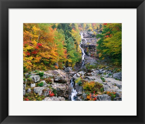 Framed White Mountains National Forest Print