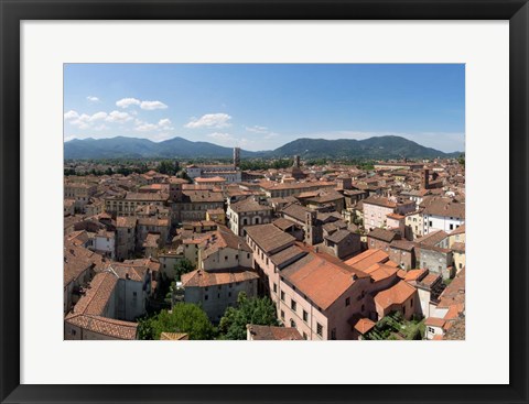 Framed Torre Guinigi, Lucca, Tuscany, Italy Print