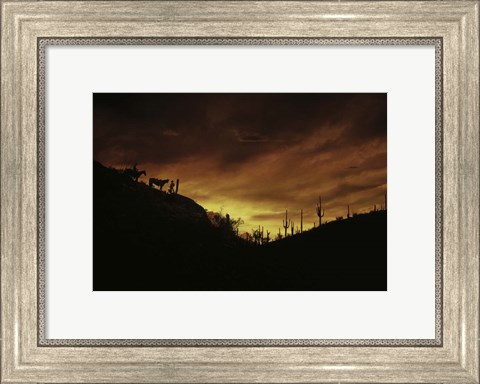 Framed Sunset over The Sonoran Desert, AZ Print