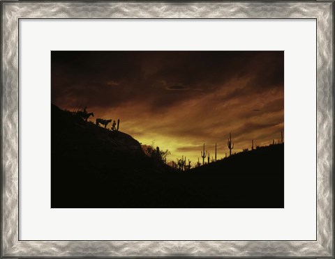 Framed Sunset over The Sonoran Desert, AZ Print