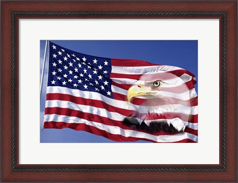 Framed Bald Eagle on Flag Print