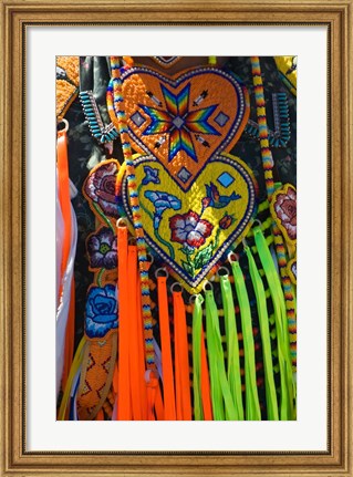 Framed Native American Indian Ceremonial Costume Print