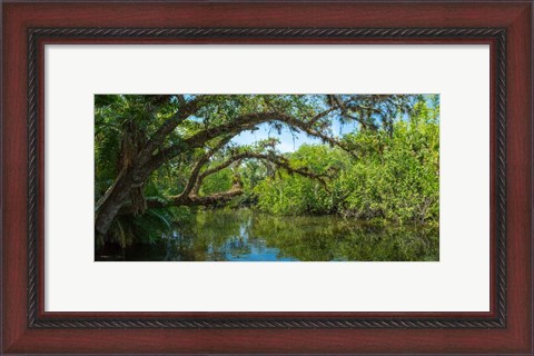 Framed Estero River in Fort Myers, Florida Print