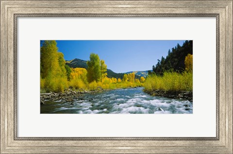Framed San Miguel River, Colorado Print