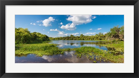 Framed Deer Prairie Creek Preserve, Sarasota County, Venice, Florida Print