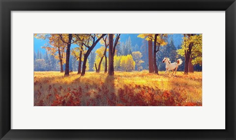 Framed Yosemite Park, California Print
