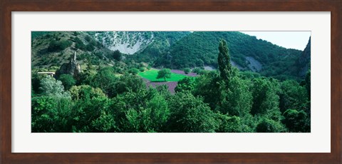 Framed Cherry Trees in Lavender fField, Provence-Alpes-Cote d&#39;Azur, France Print