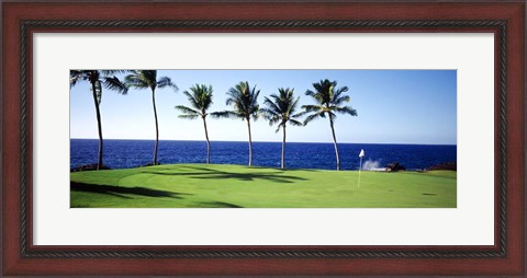 Framed Golf Course, Big Island HI Print