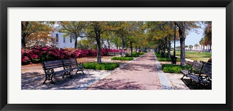 Framed Waterfront Park in Charleston, SC Print