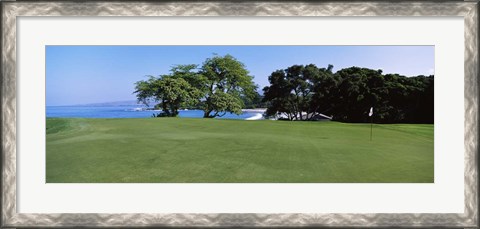 Framed Trees on a Golf Course, Manua Kea, Hawaii Print