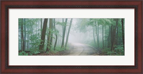 Framed Skyline Drive, Jackson-Washington State Forest, Indiana Print