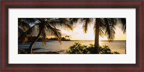 Framed Kohala Coast, Big Island, Hawaii Print