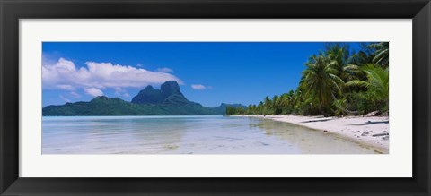 Framed Palm Trees in Bora Bora, French Polynesia Print