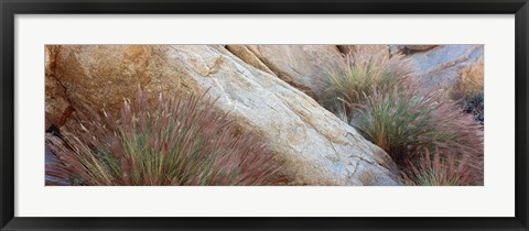 Framed Anza Borrego Desert State Park, Borrego Springs, California Print
